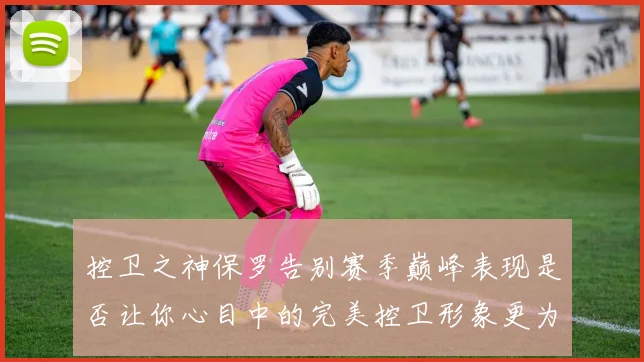 控卫之神保罗告别赛季巅峰表现是否让你心目中的完美控卫形象更为坚定