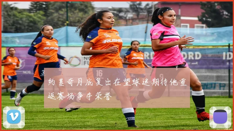 约基奇月底复出在望球迷期待他重返赛场争夺荣誉