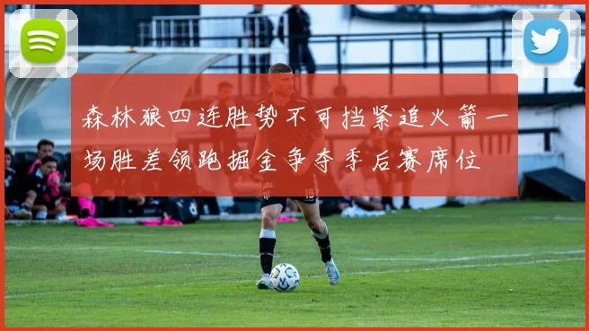 森林狼四连胜势不可挡紧追火箭一场胜差领跑掘金争夺季后赛席位